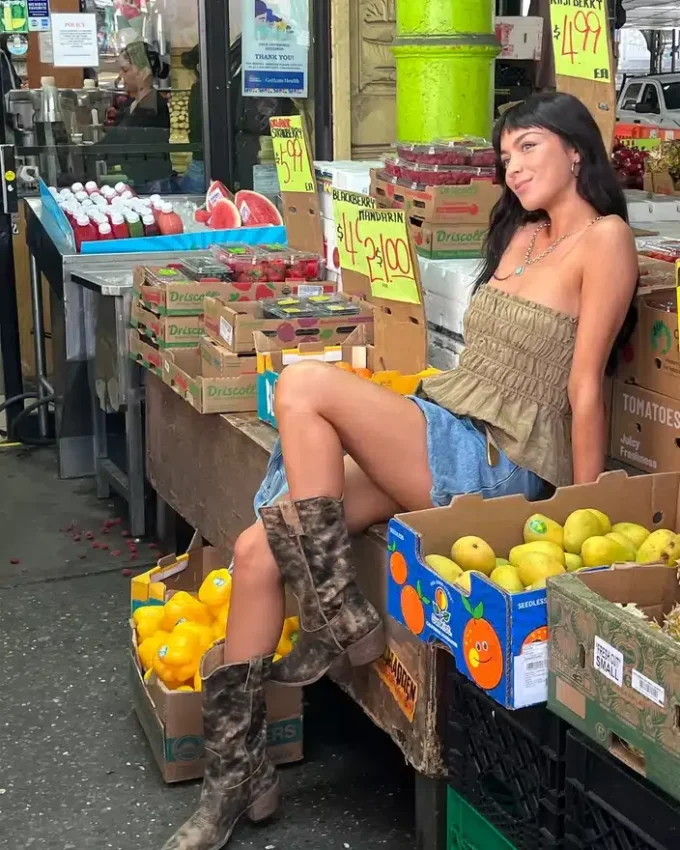 Albany marron vieilli Albany marron vieilli