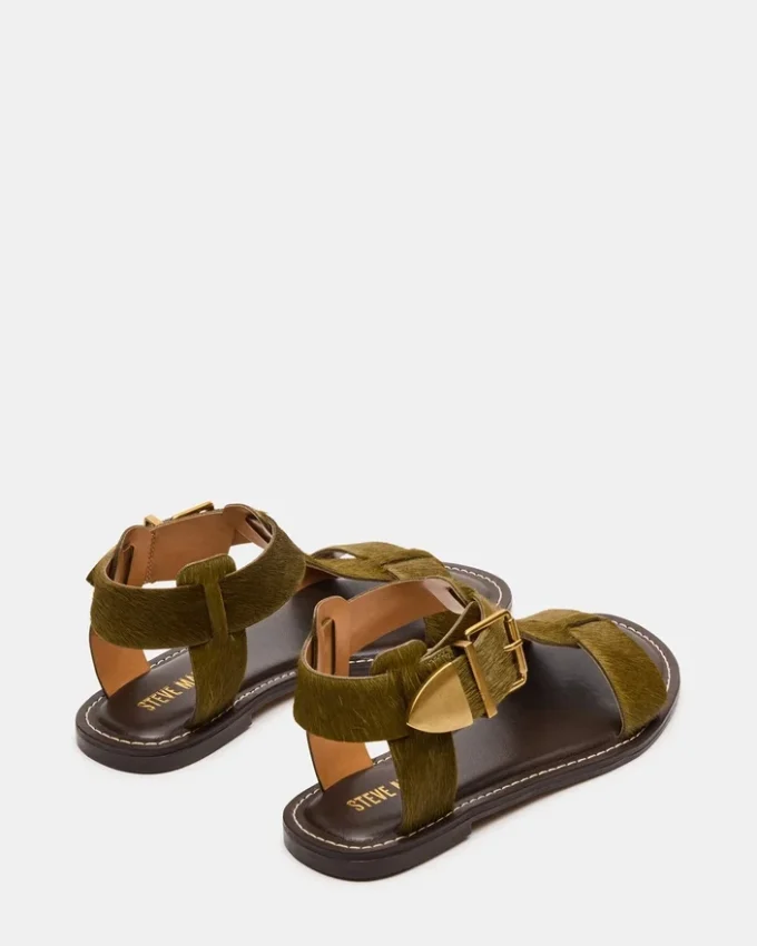 Brazinn Olive Brazinn Olive