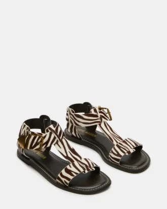 Brazinn Zebra