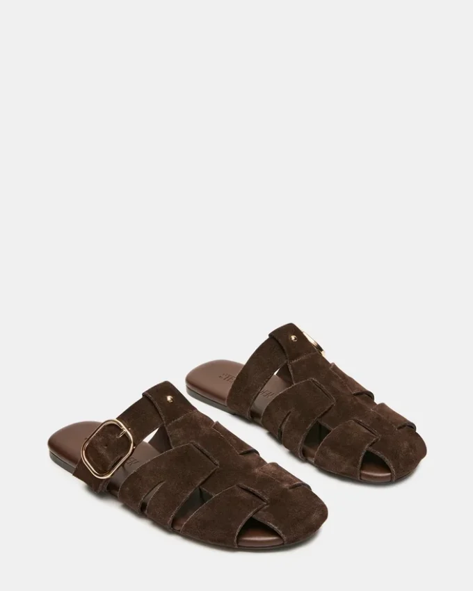 Daim marron Halo Daim marron Halo