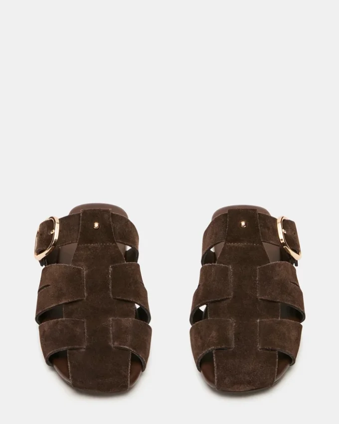 Daim marron Halo Daim marron Halo