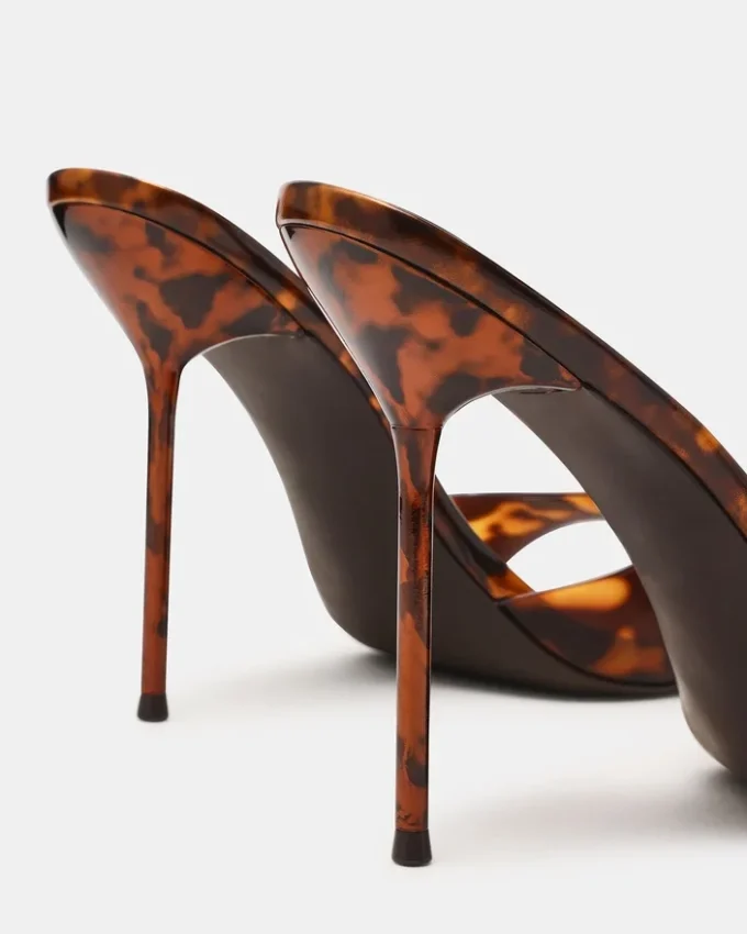 Davina Tortoise Davina Tortoise