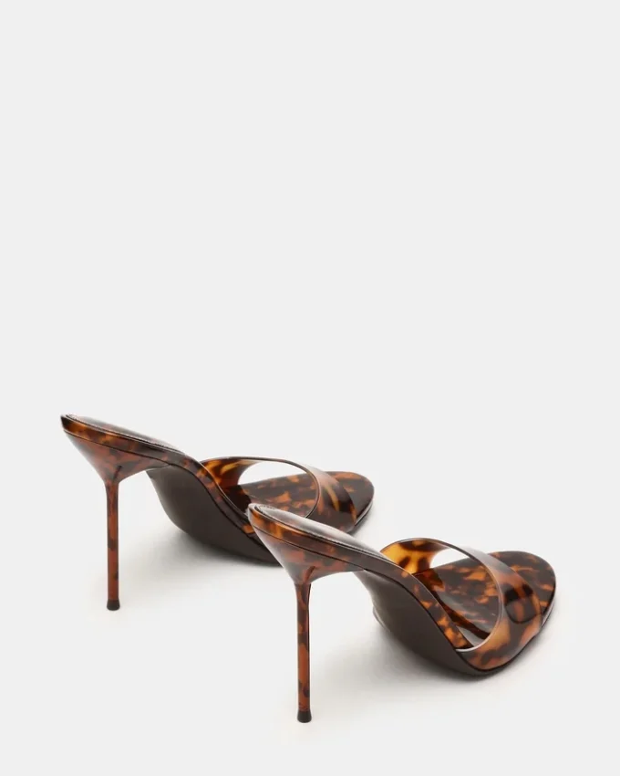 Davina Tortoise Davina Tortoise