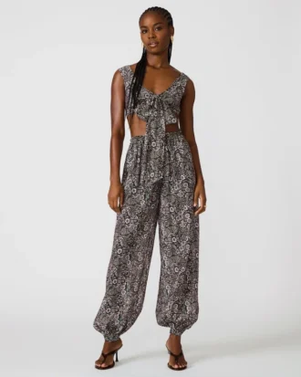 Haut Livy Vert forêt