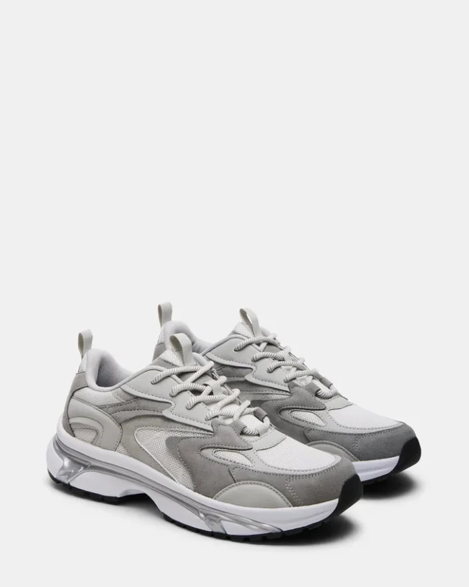 Ygor Gris Multicolore