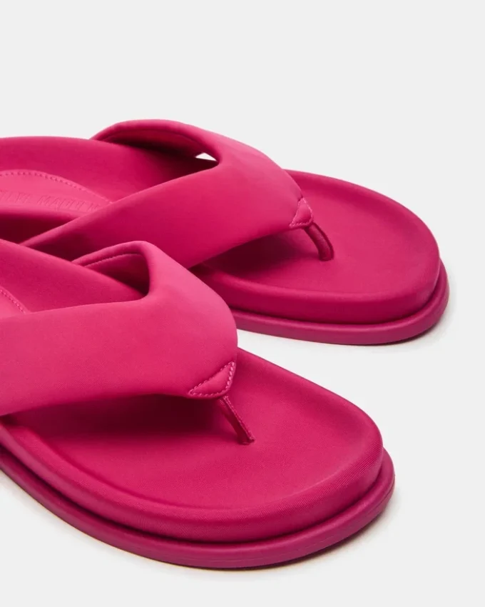 Zinnia Rose Zinnia Rose