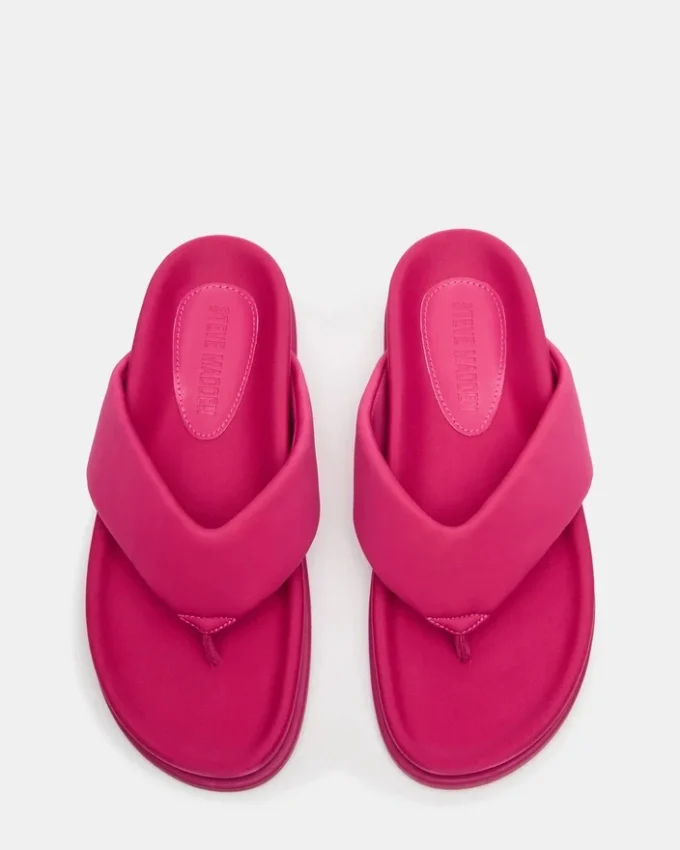 Zinnia Rose Zinnia Rose